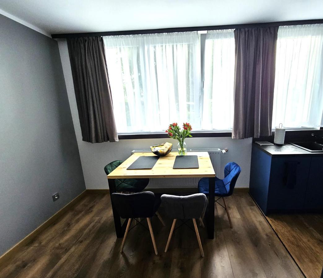 Apartament Leszczynska 29 Bielsko-Biała Dış mekan fotoğraf